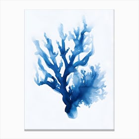 Blue Coral 6 Canvas Print