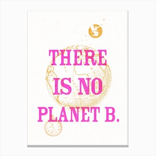 There Is No Planet B Vintage Style Pink & Orange Canvas Print