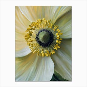 White Anemone Flower Canvas Print