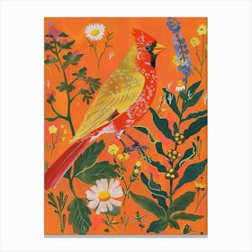 Spring Birds Cardinal 3 Canvas Print