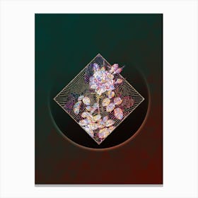 Abstract Four Seasons Rose in Bloom Botanical Illustration n.0352 Canvas Print