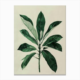 Green Plant Canvas Print