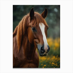 Horse With Mane Canvas Print