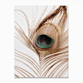 Peacock Feather 2 Canvas Print