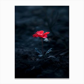 Dark Flower 26 Canvas Print