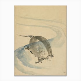 A Tortoise, Katsushika Hokusai Canvas Print