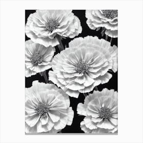 Carnations B&W Pencil 9 Flower Canvas Print
