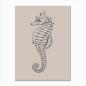 Seahorse 4 Canvas Print