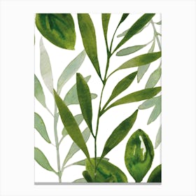 Green Leaves 2 Art Print Canvas Print