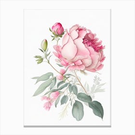 Peony Floral Quentin Blake Inspired Illustration 3 Flower Canvas Print