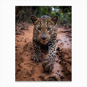 African Leopard Muddy Paws Realism 1 Canvas Print