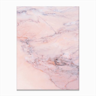 Blush Marble Canvas Print
