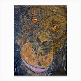 Chimp Canvas Print