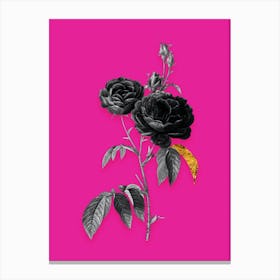 Vintage Purple Roses Black and White Gold Leaf Floral Art on Hot Pink n.0161 Canvas Print