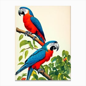 Macaw James Audubon Vintage Style Bird Canvas Print