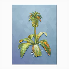 Vintage Eucomis Regia Botanical Art on Summer Song Blue n.2008 Canvas Print