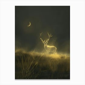 Deer In The Moonlight 12 Canvas Print