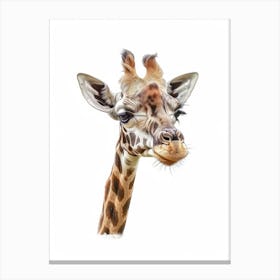 Giraffe 91 Canvas Print