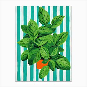 Basil Summer Illustration 4 Canvas Print