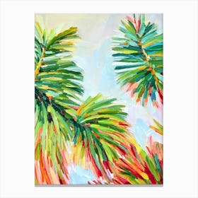 Norfolk Island Pine Impressionist Painting Plant Canvas Print