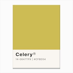 Celery Canvas Print
