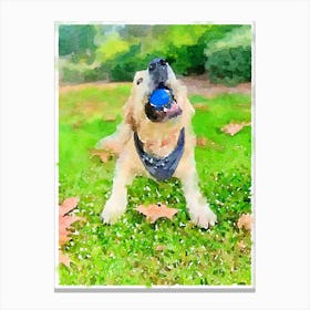 Golden Retriever Playing With A Ball Canvas Print