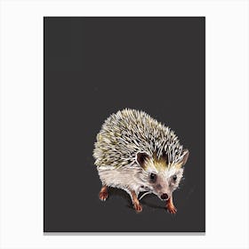 Kimchi The Hedgehog Canvas Print