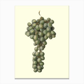 Grapes Canvas Print