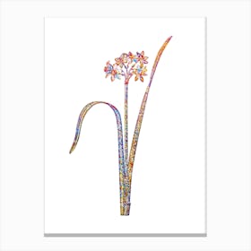 Stained Glass Cowslip Cupped Daffodil Mosaic Botanical Illustration on White n.0220 Canvas Print