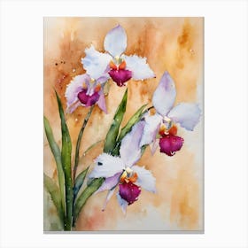 Brassavola Orchids Water Colour Canvas Print