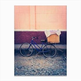 The Blue Bicycle  Canvas Print