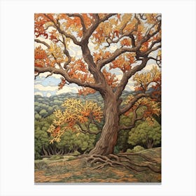 American Elm 1 Vintage Autumn Tree Print  Canvas Print
