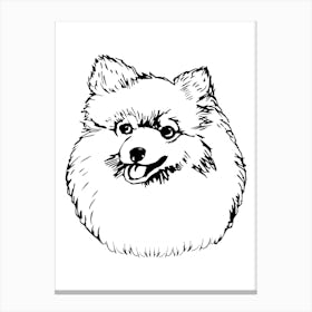 Pomeranian Monoline Drawing Line Art Lienzo