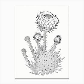 Cylindropuntia Kleiniae William Morris Inspired 3 Canvas Print