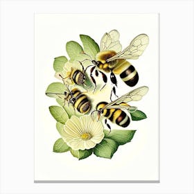 Colony Bees 4 Vintage Canvas Print
