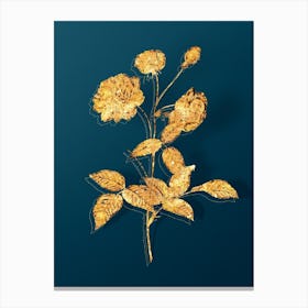 Vintage China Rose Botanical in Gold on Teal Blue n.0042 Canvas Print
