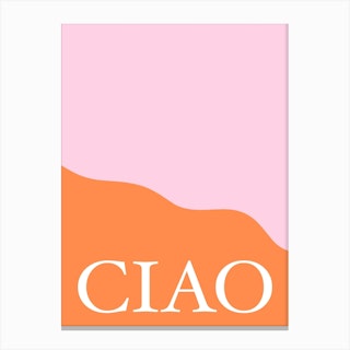 Pink And Orange Ciao Canvas Print