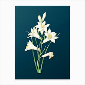 Vintage St. Bruno's Lily Botanical Art on Teal Blue n.0347 Canvas Print