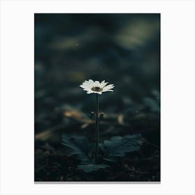 Flower In The Dark 68 Canvas Print