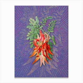 Vintage Crimson Glory Pea Flower Botanical Illustration on Veri Peri n.0920 Canvas Print