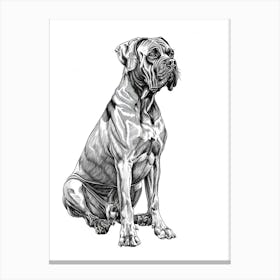 Cane Corso Dog Line Sketch Canvas Print
