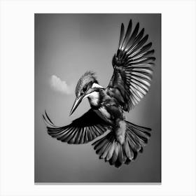 Kingfisher Spreadout Wings Black And White Canvas Print
