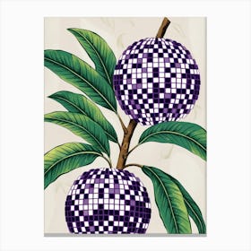 Purple Mangoes Canvas Print