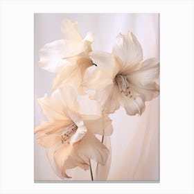Boho Dried Flowers Amaryllis 3 Canvas Print