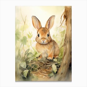 Bunny Drawing Rabbit Prints Watercolour 8 Canvas Print