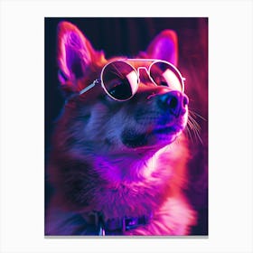 Beautiful Dog Under Neon Lights 1 Canvas Print