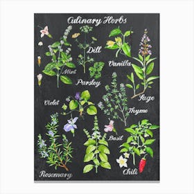 Kitchen Herbs Canvas Print