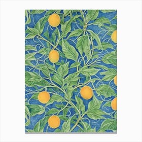 Mango Vintage Botanical Fruit Canvas Print