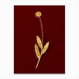 Vintage Victory Onion Botanical in Gold on Red n.0552 Canvas Print