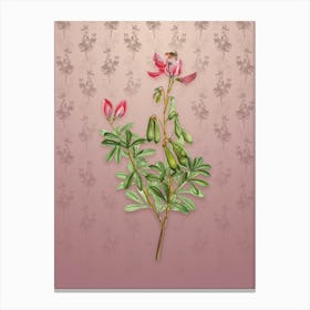 Vintage Restharrows Botanical on Dusty Pink Pattern n.2225 Canvas Print